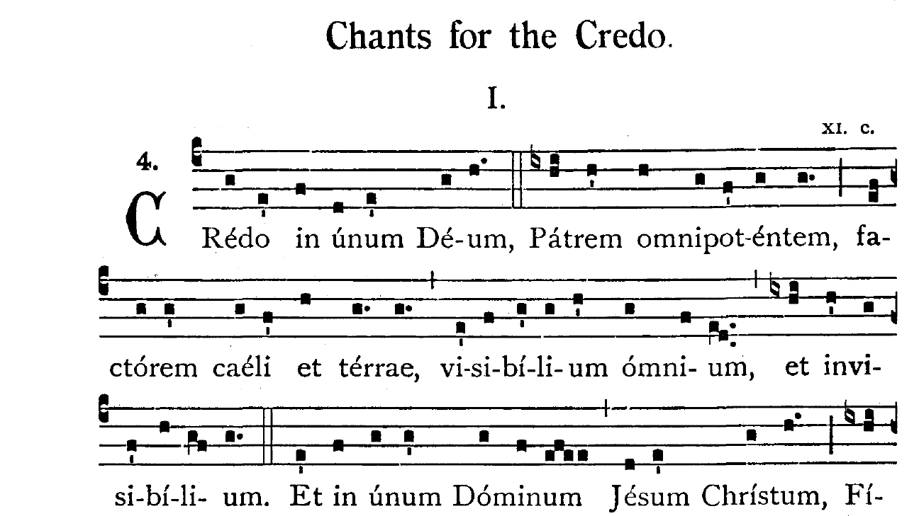 彌撒常用經文中最長的一篇是《信經》，特利騰大公會議後的《常用歌集》中，只有六首，比起其他有各有幾十首，差異最大。第一句「Credo in unum Deum」通常是主領牧者領唱，稱為「incipit」，這個版本是《信經》中最常用的一句。